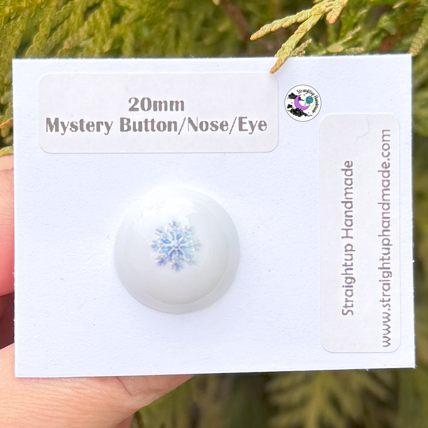 Mystery Winter Hand Painted Safety Button/Nose/Ornament/Eye