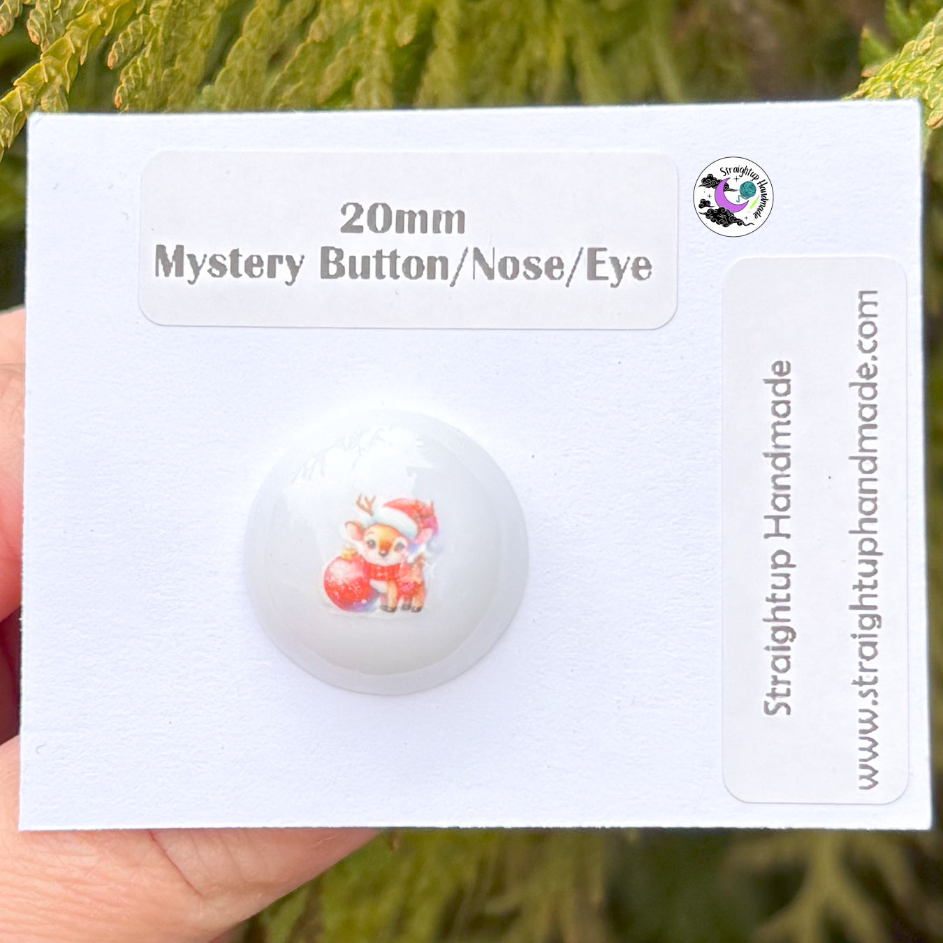 Mystery Winter Hand Painted Safety Button/Nose/Ornament/Eye