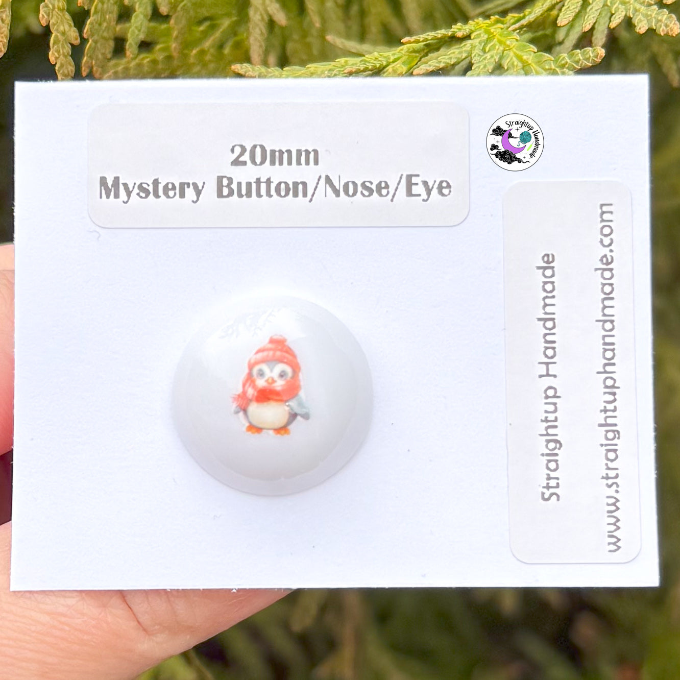Mystery Winter Hand Painted Safety Button/Nose/Ornament/Eye