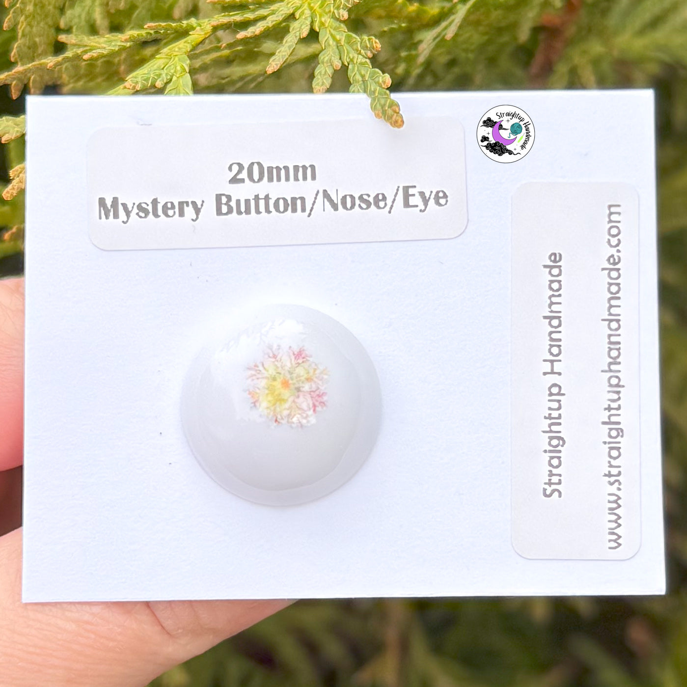 Mystery Winter Hand Painted Safety Button/Nose/Ornament/Eye