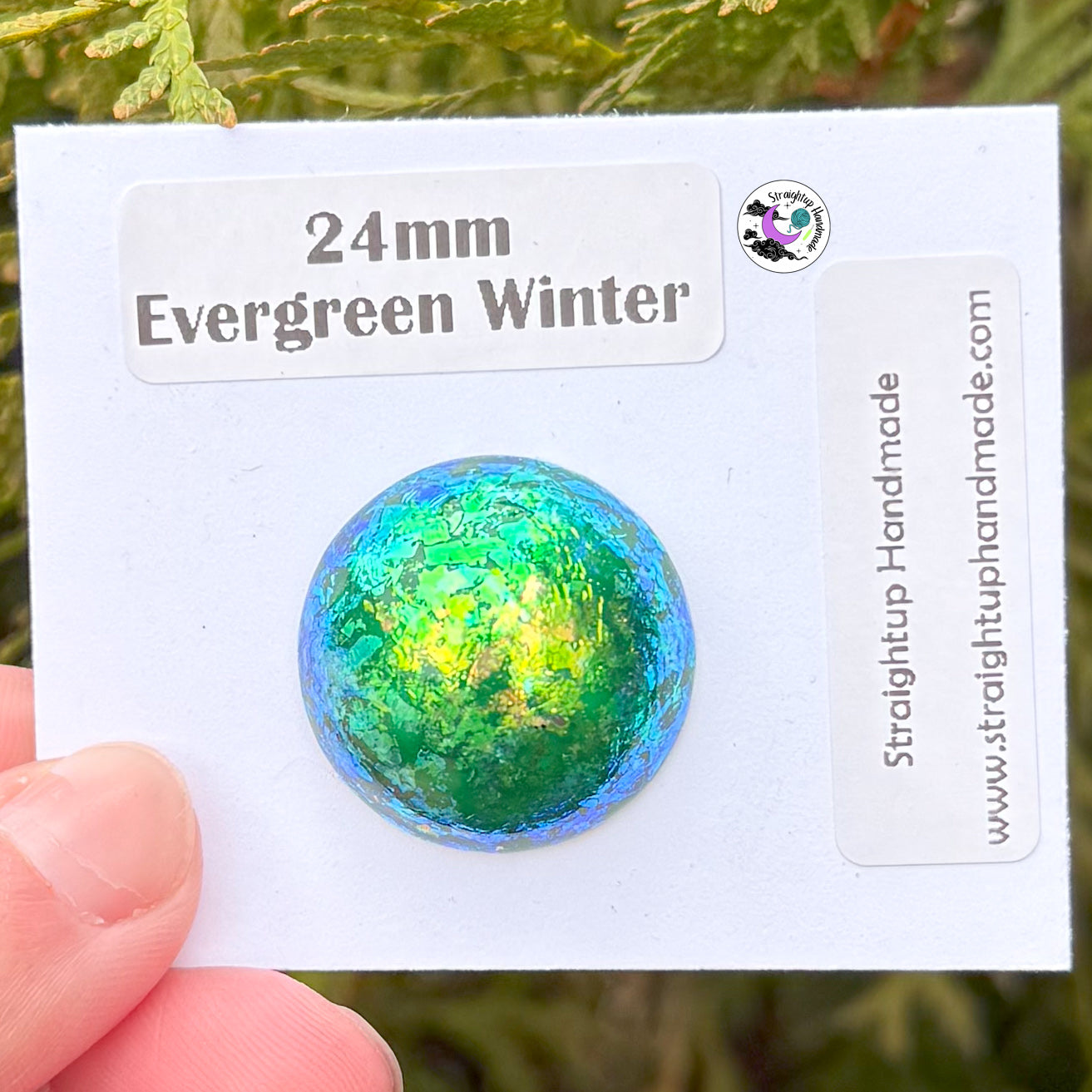 Winter Hand Painted Safety Button/Nose/Ornament/Eye