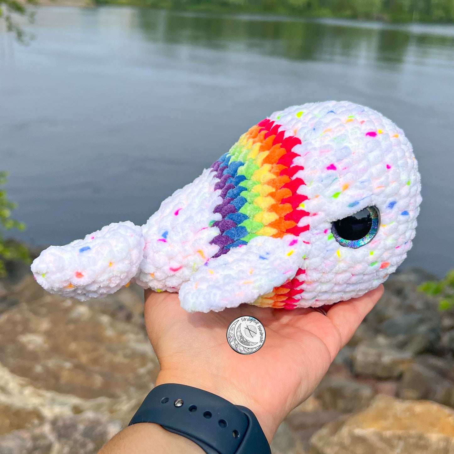 Rainbow Whale