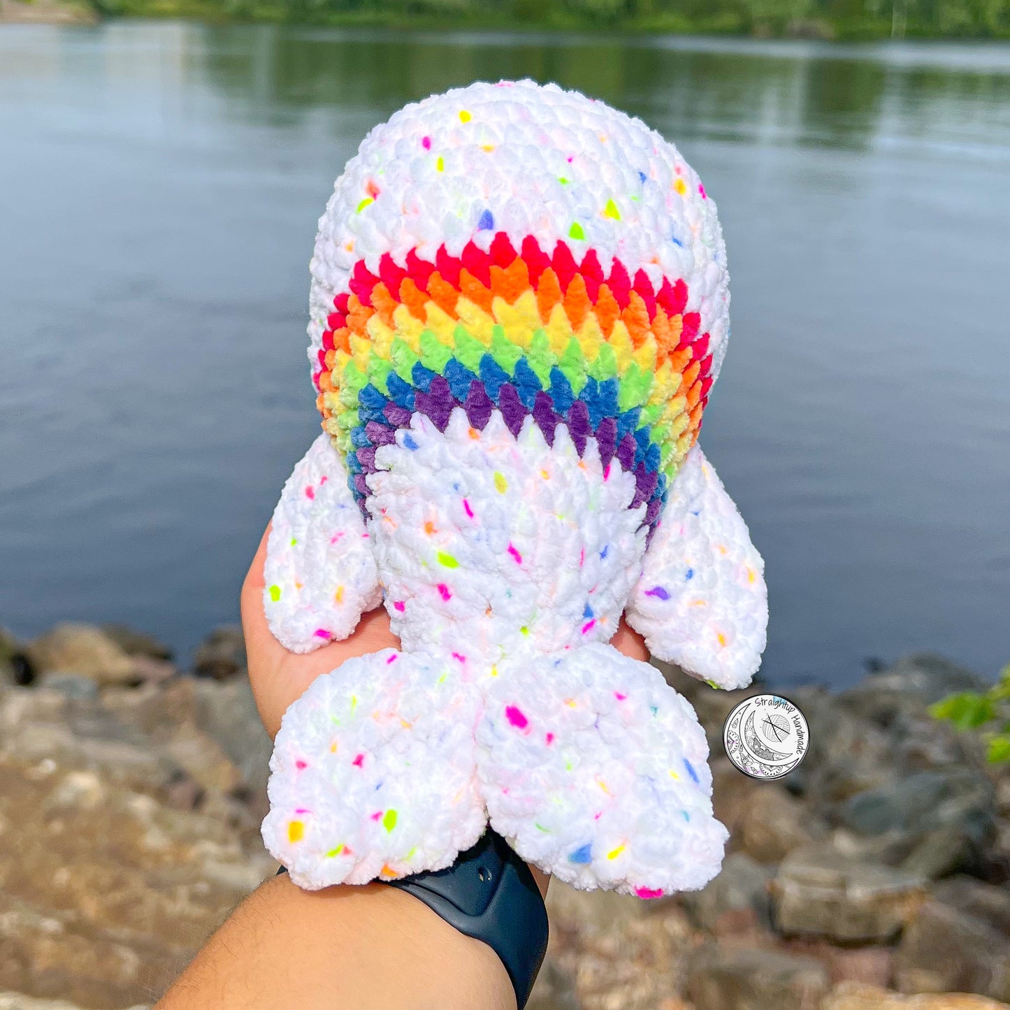 Rainbow Whale