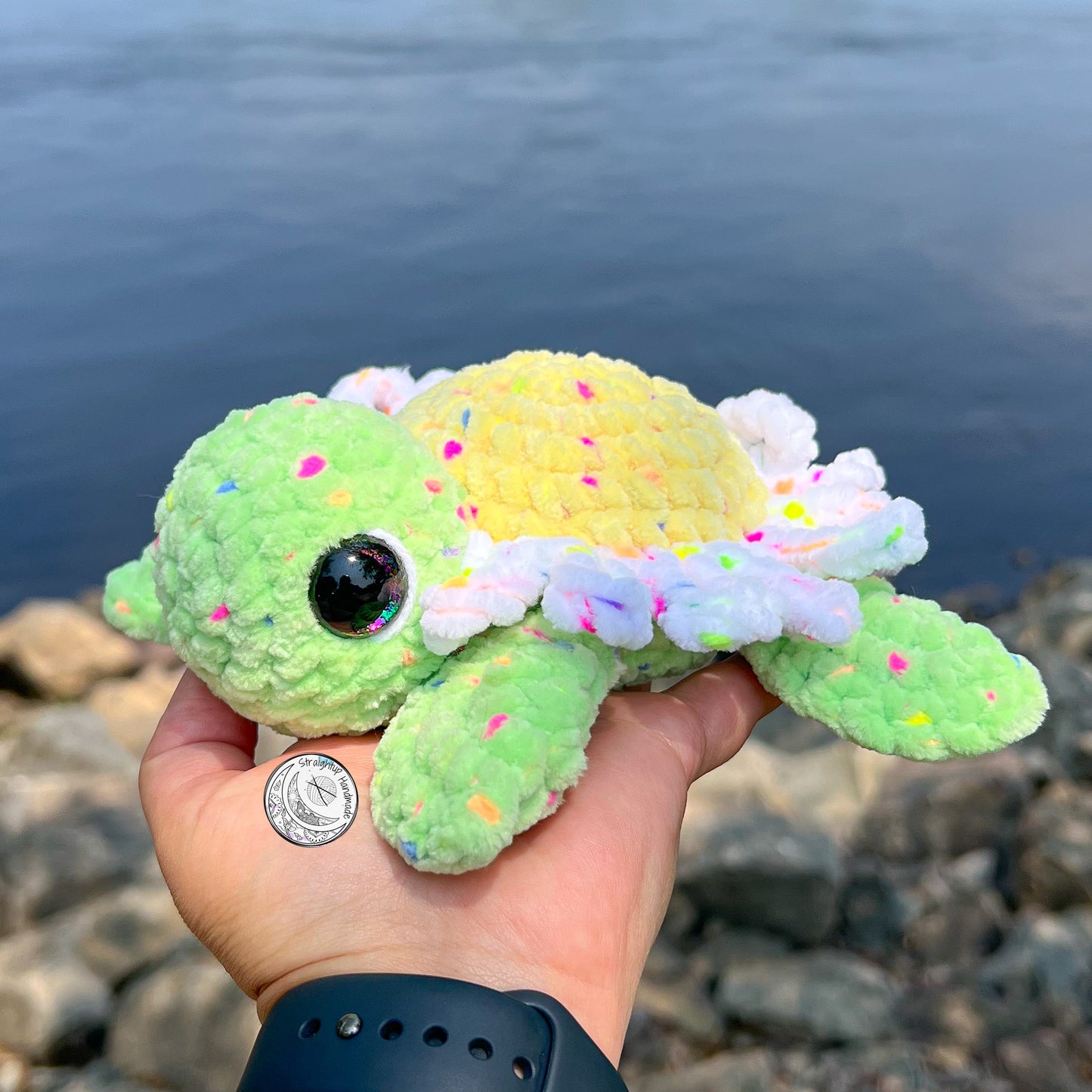 Speckled Daisy Turtle