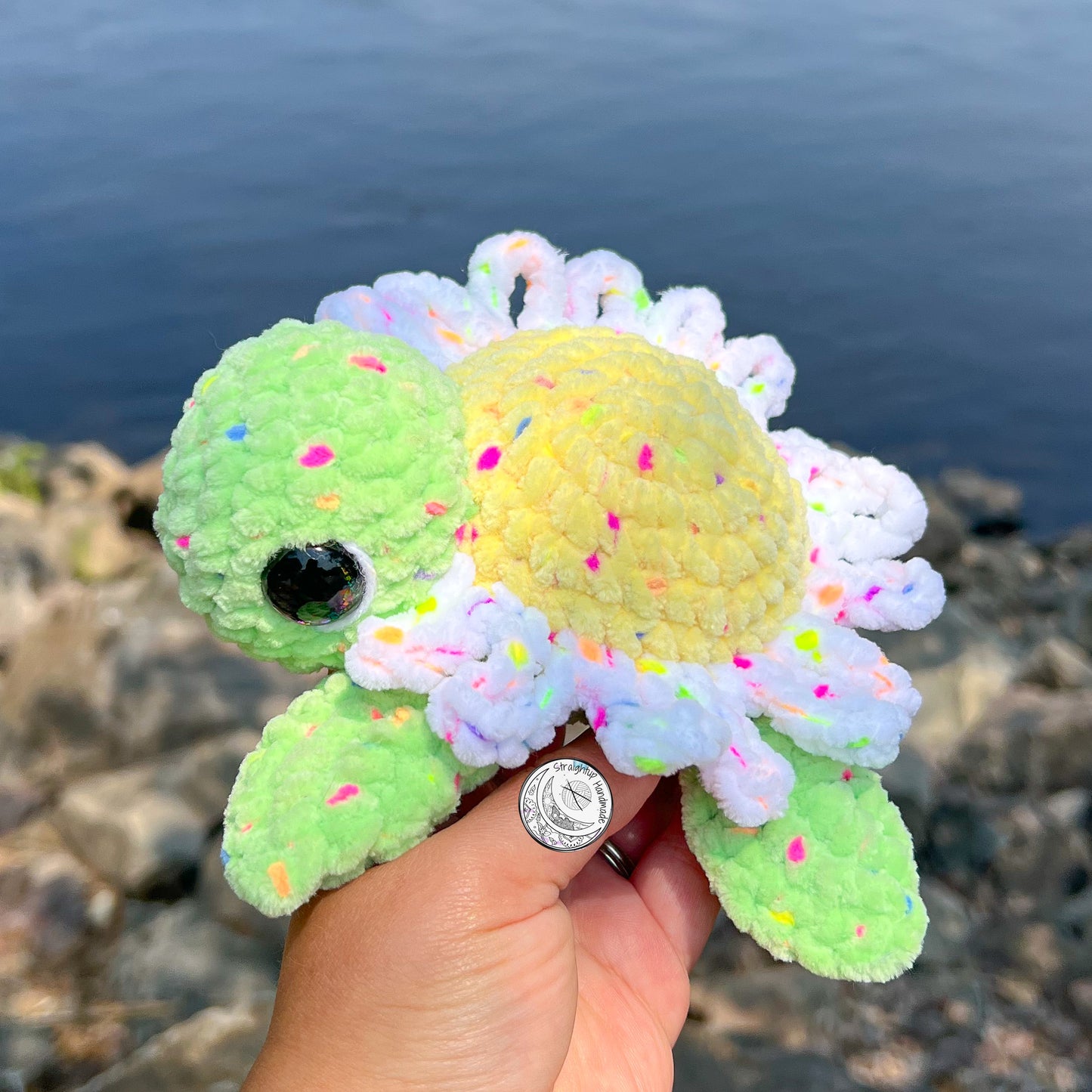 Speckled Daisy Turtle