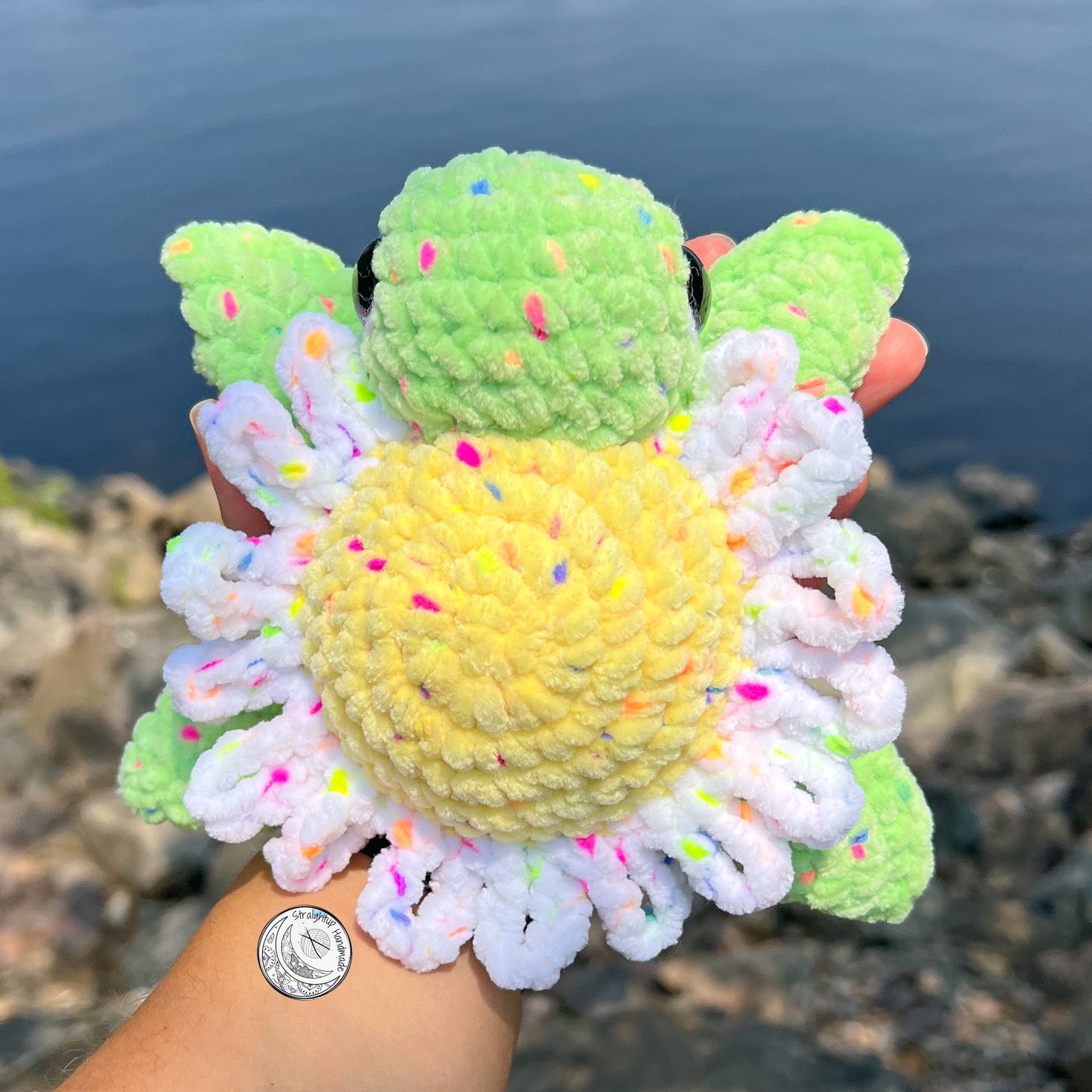 Speckled Daisy Turtle