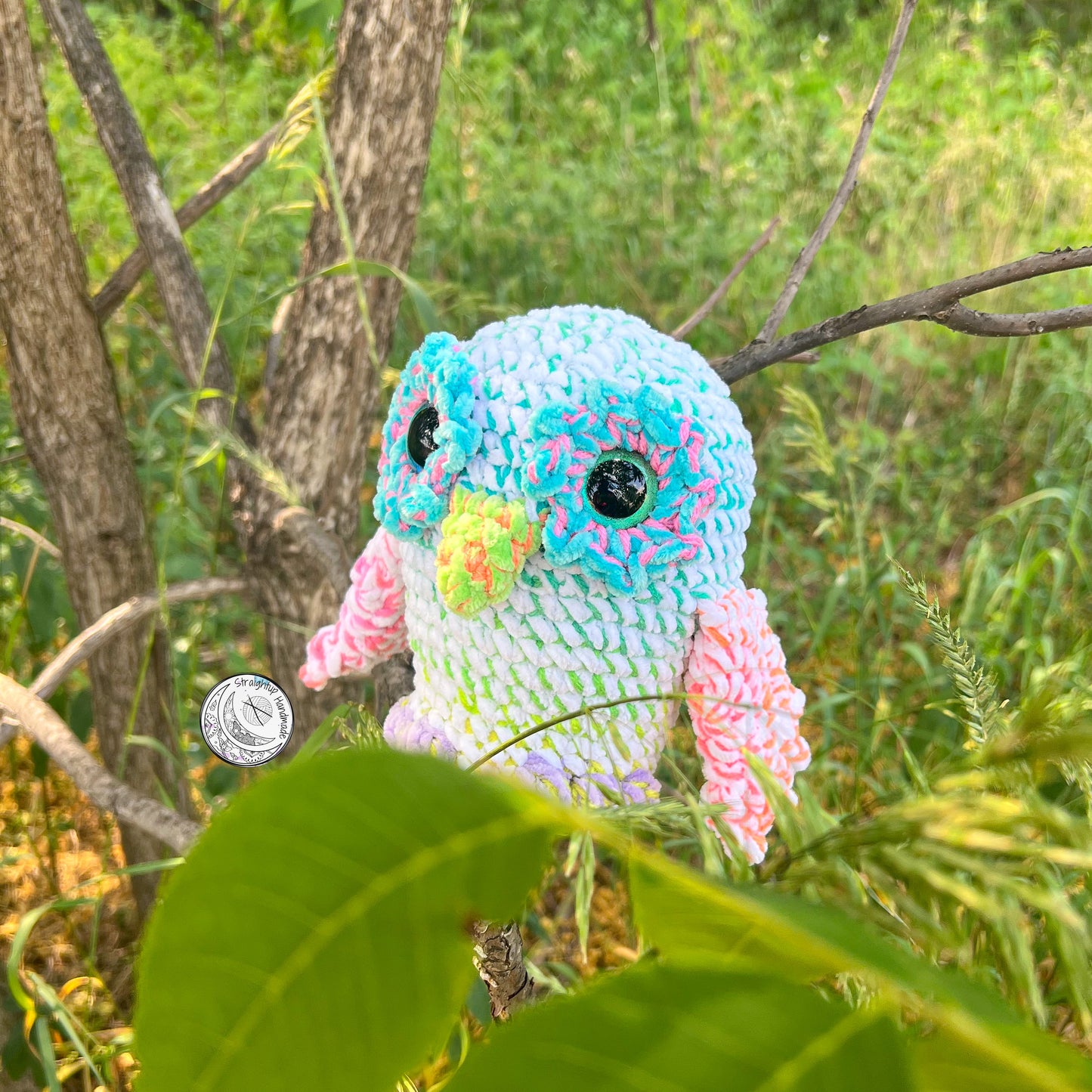 Neon Rainbow Owl