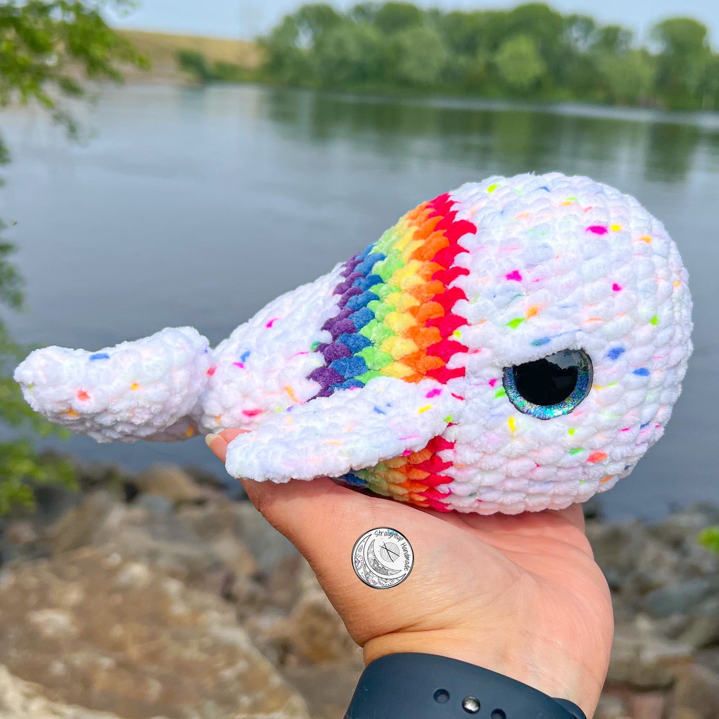 Rainbow Whale