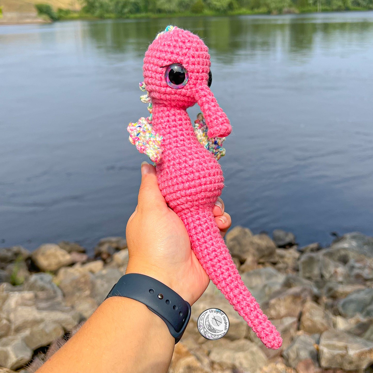 Pink Seahorse